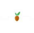 supportta solutions logo